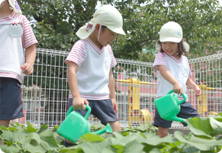 やはぎ幼稚園